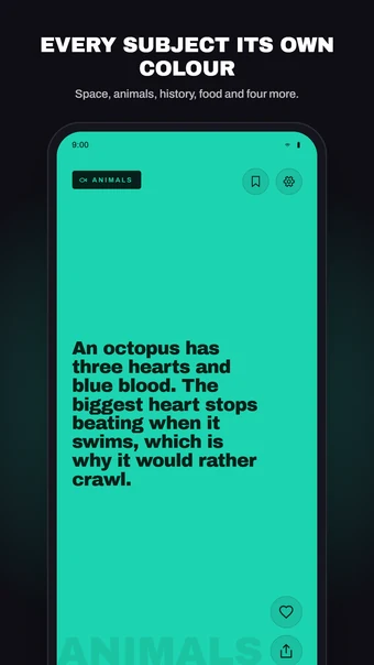 FactFlow screenshot 2