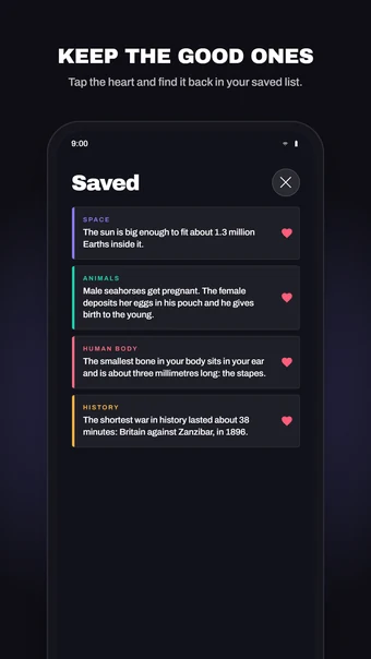 FactFlow screenshot 4