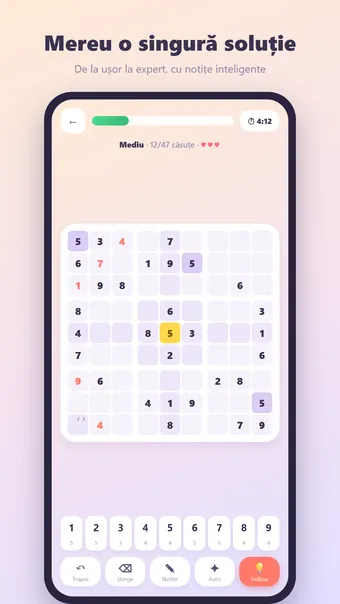 Sudoku – în timpul jocului